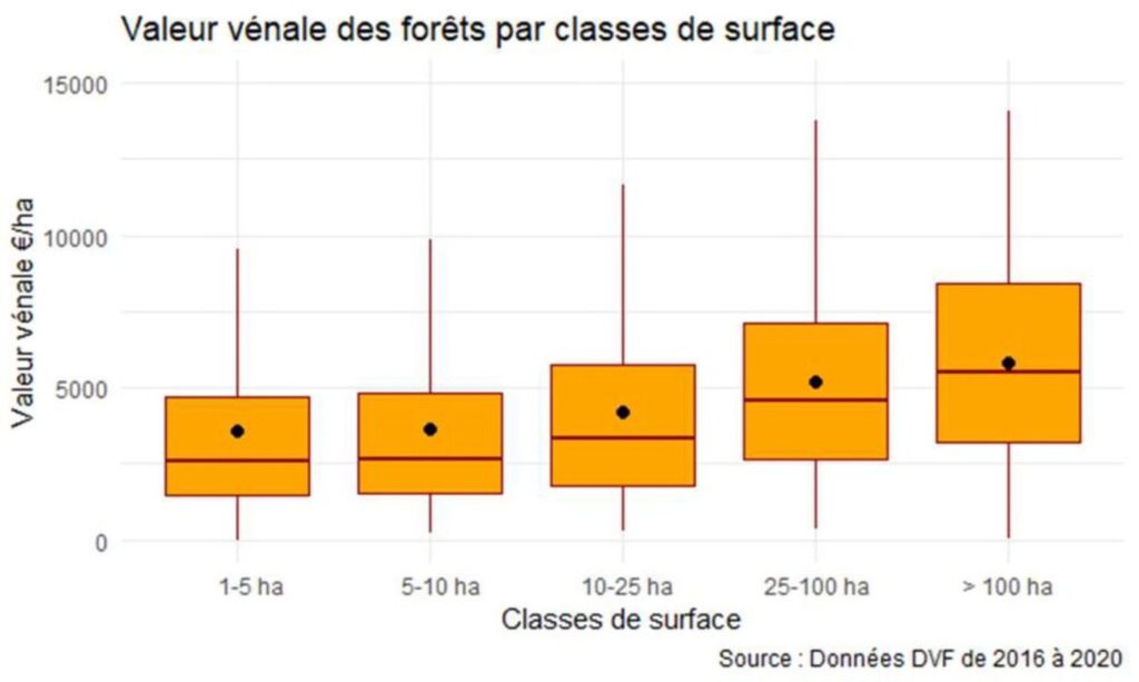 Valeur Venale Resized Comit Des For Ts Gestion Et Expertise